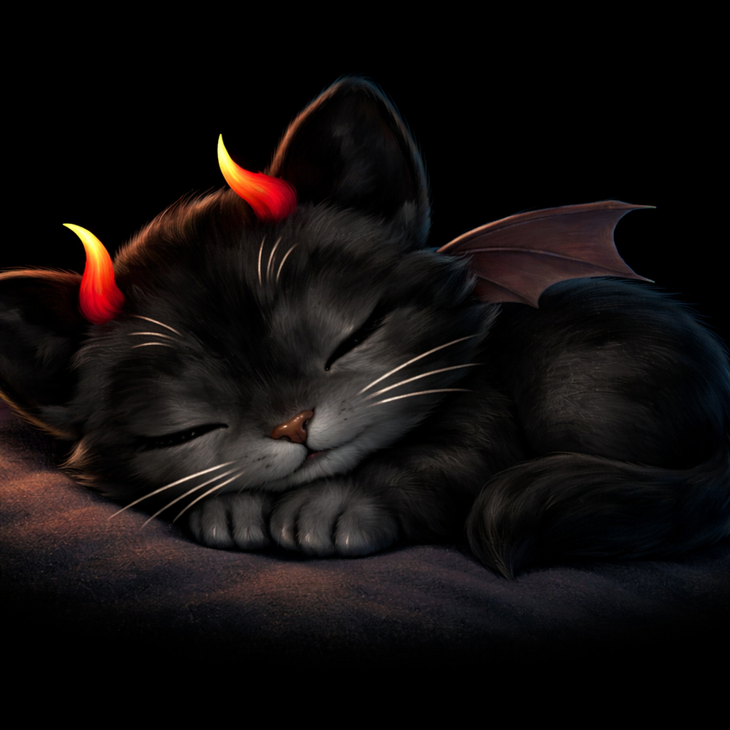 Schlafende Babykatze